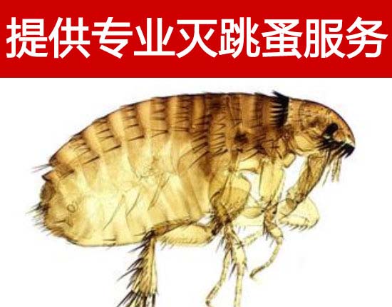 ����߀�ڱ��������_�᣿����?gu��)����Q�����I(y��)����ȫ���б���