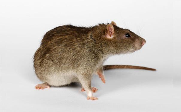 ��Μ��󣿜�������Щ������